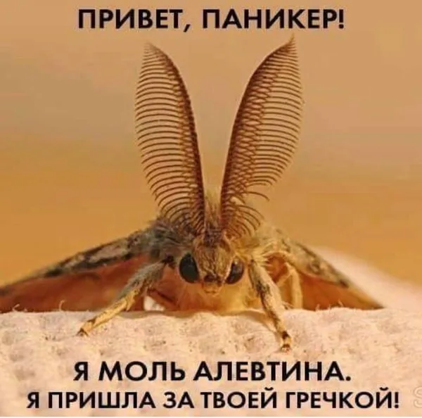 Меми про коронавірус: українці жартують на тему вірусу (фото)