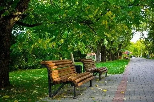 У Луцьку запрацює перша Програма розвитку парків та скверів міста