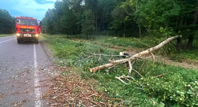 На Волині буревій наробив лиха: повалені дерева паралізували рух транспорту (фото)