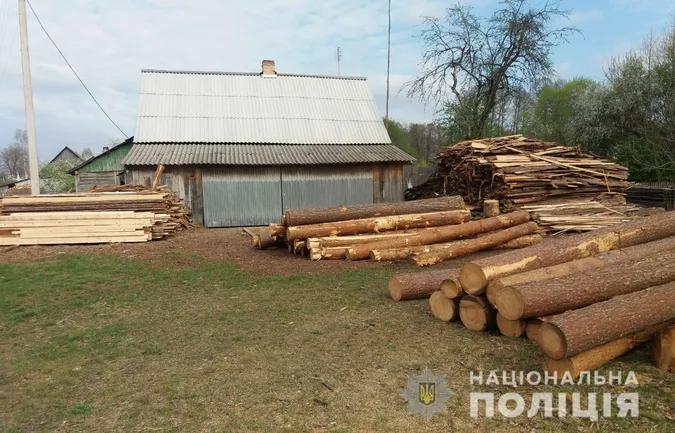 У домогосподарствах волинян знайшли понад 100 незаконно зрізаних колод (фото)