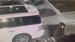 У Луцьку невідомі обрізали дроти живлення датчиків у 7 багатоповерхівках