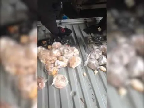 На «Ягодині» знайшли 3,4 кілограми бурштину (фото, відео)