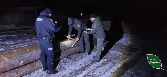 На Волині ловили «чорних» лісорубів – їм світить кримінал (фото)