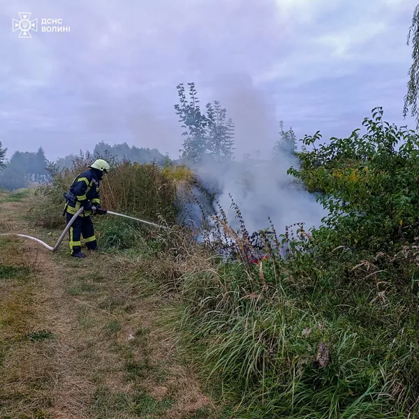 На Волині діти влаштували пожежу біля кладовища (фото)