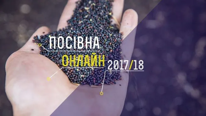 Волинь – восьма з кінця серед областей за площами посіву озимих зернових