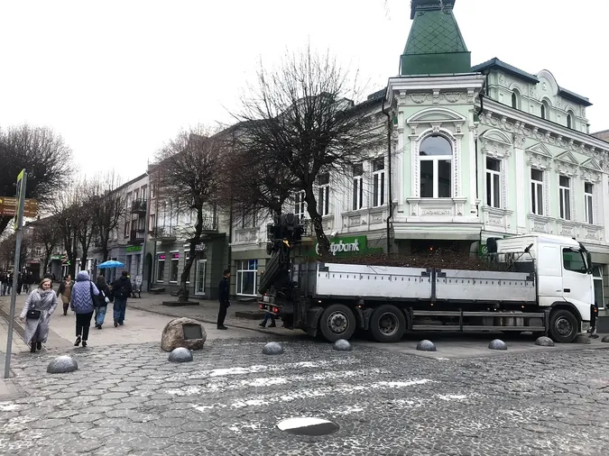 У Луцьку на Лесі Українки обрізають дерева: причина
