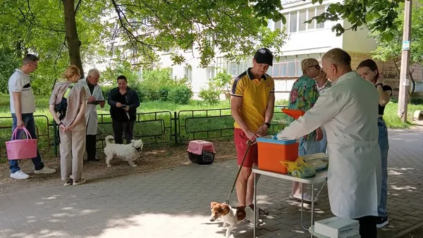 І котиків, і собачок: у Луцьку безплатно вакцинують домашніх тварин від сказу (фото, відео)