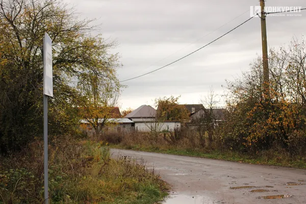 «Будемо пускати тут коріння»: як на Волині хазяйнують харків'яни, які все втратили (фото)