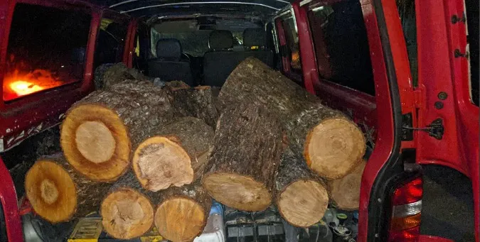 Лучанин хотів вкрасти дрова зі «Срібних лелек» (фото)