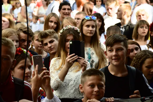 Співи, жим та стріт-фуд: як лучани святкують День Незалежності (фото)