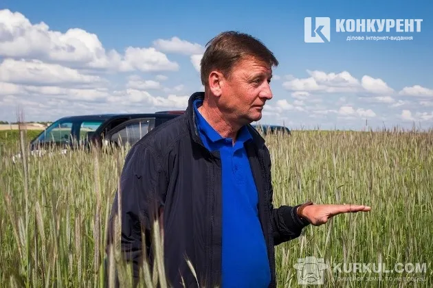 Волинські агрогосподарства діляться секретами вирощування жита 