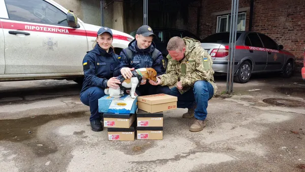 Популярний пес Патрон отримав передачу від луцьких волонтерів (фото, відео)