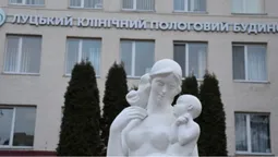 У Луцьку пологового будинку не стане навесні: що там коїться (фото)