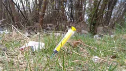 Патрульні Волині показали всіяний шприцами парк (ФОТО)