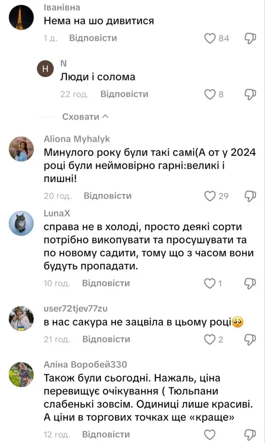 Скриншот коментарів під відео