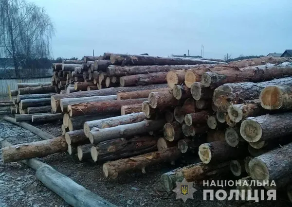 На Волині зупинили вантажівку з краденою деревиною (фото)