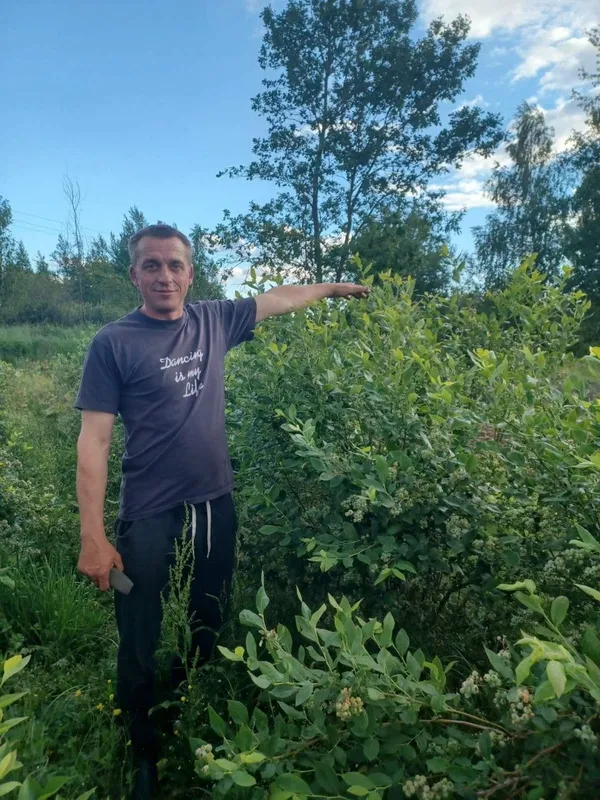 Сімейна справа, яка об'єднує: як родина з Волині розвиває бізнес на лохині (фото)