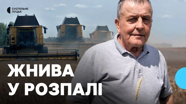 На Волині жнива у розпалі: скільки врожаю номолотили (відео)