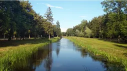 Луцьк заплатить 680 тисяч за чисті канали у парку (відео)