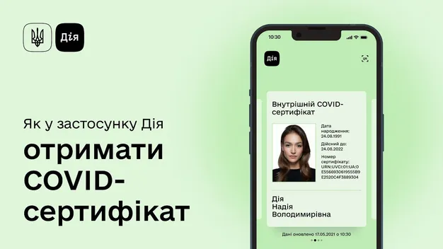 Додаток «Дія» не буде працювати в ніч на 7 листопада