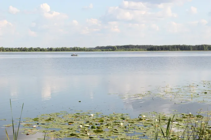 Не Світязь: назвали ще одну озерну перлину Волині (фото)