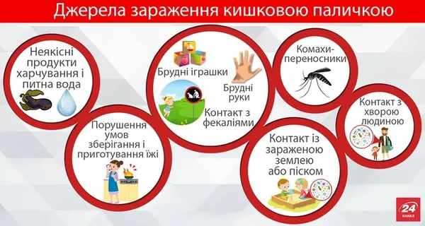 Як вберегтися від кишкових інфекцій влітку: поради волинських медиків 