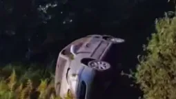 Біля Володимира легковик злетів з дороги (відео)