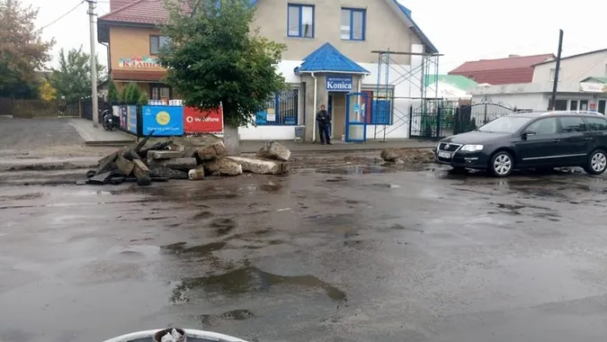 У Ківерцях спиляли «здорові» дерева, які видали за сухі (фото)