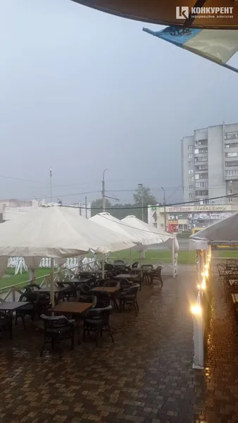 Луцьк раптово накрила потужна злива: буревій повалив дерева (фото, відео)