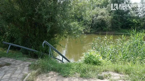 «Тонуть діти, а батьки п’ють пиво»: історії з  центрального пляжу Луцька