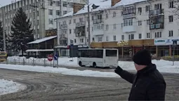 Водій може не встигнути загальмувати: що не так з переходом на Грушевського у Луцьку (відео)