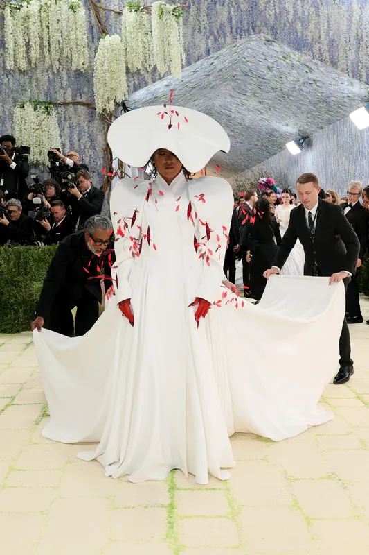 Найкращі образи гостей балу Met Gala 2026 (фото)