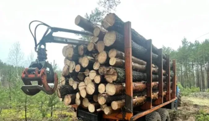 У Граддівському лісництві – перевірка: що сталося