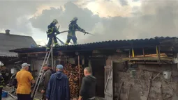 На Волині через грозу загорівся хлів, де були свині  (фото)