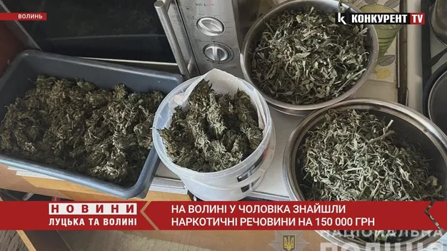 Зібрав врожай конопель: у волинянина знайшли наркотики на 150 тисяч гривень (фото, відео)