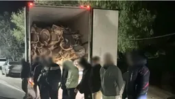 На Одещині іноземці перевозили ухилянтів у рефрижераторі з м'ясом (фото)