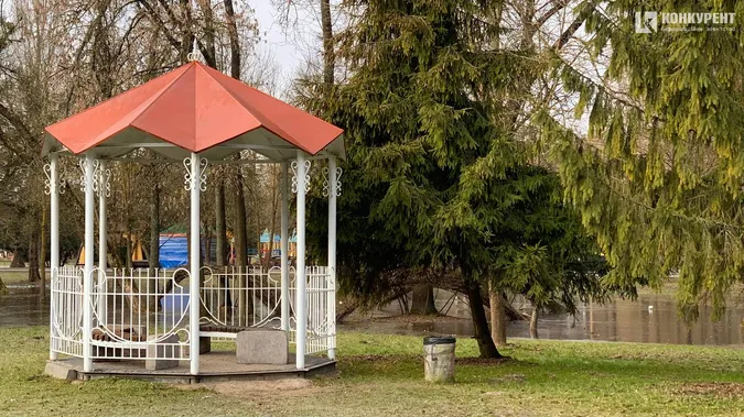 «А за вікном майже весна»: як луцький парк її зустрів (фото)