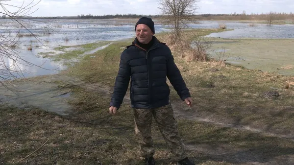 На підтоплених угіддях у Любешівській громаді оселилися лебеді і чаплі (фото)