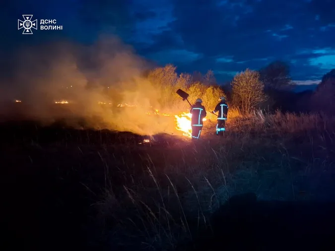 Вогонь знищив 6 га: на Волині сталися пожежі через людську недбалість