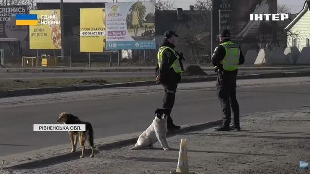 Вселилась душа військового: патрульний чотирилапий Калапуша супроводжує Героїв «на щиті» (відео)