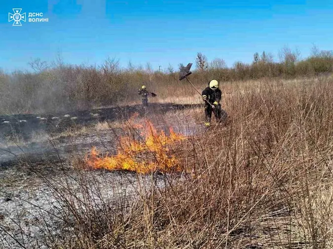 Гектари територій палають у вогні: на Волині за добу – 10 пожеж (фото)