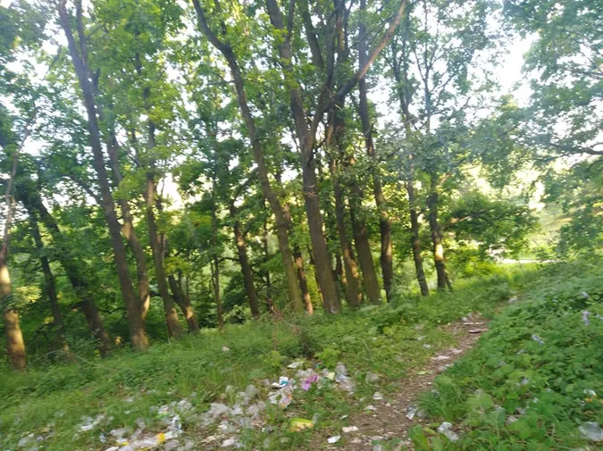 У Луцьку ботанічну пам'ятку природи перетворили на смітник (фото)