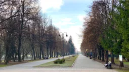 «А за вікном майже весна»: як луцький парк її зустрів (фото)