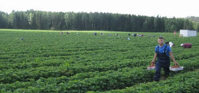 Українці в Польщі почали більше заробляти