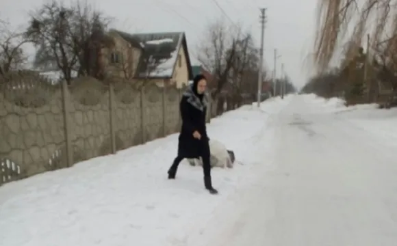«Муніципали» ловлять лучан, які викидають сміття на узбіччя (фото)