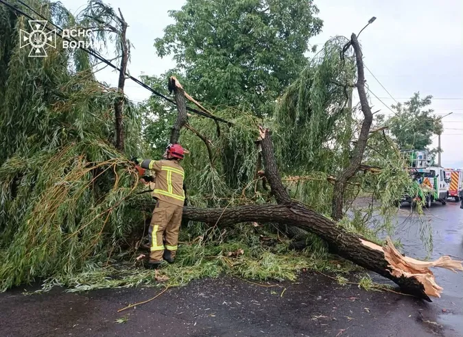 Після буревію у Луцьку рятувальники прибирали дерева з доріг і дворів (фото)