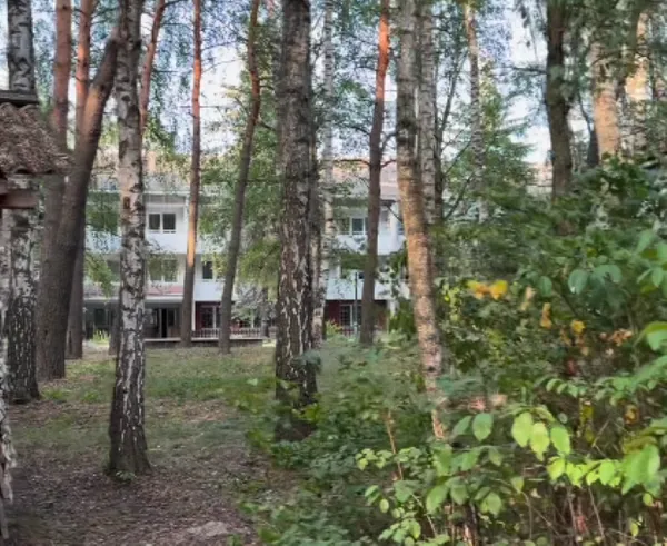 Сосновий ліс і чисті пляжі: біля Луцька є ідеальне місце відпочинку, де мало людей і багато риби (відео)