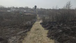 Під Луцьком спіймали палійку: жінка спалила 3 гектари сухостою (фото)