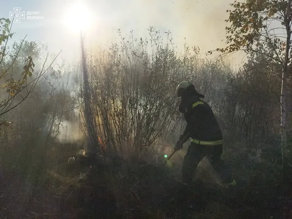 Понад гектар вигорів за день: на Волині горіли суха трава, чагарники та сміття (фото)