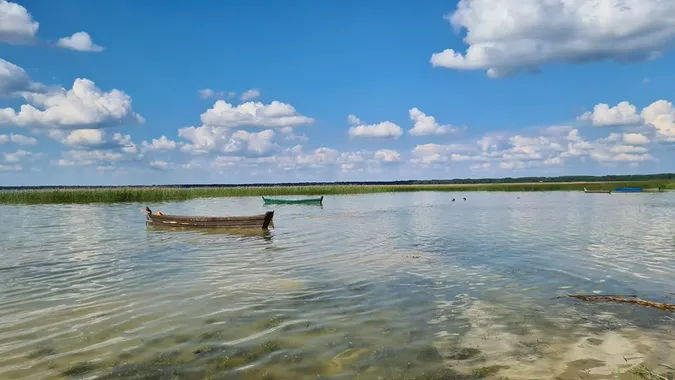 «Брудна, мутна та зелена», – Іван Мирка про воду на Світязі (фото)